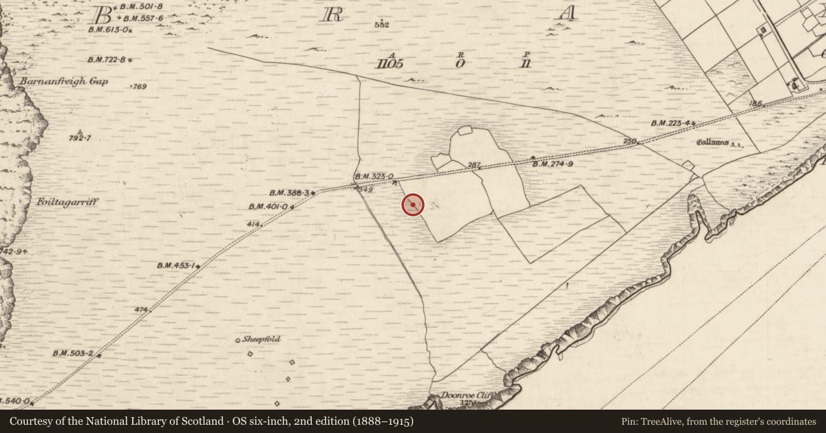 Ordnance Survey six-inch map, 2nd edition (1888–1915) covering the location of Mill - unclassified, Bray, County Kerry, with a pin at the register's coordinates