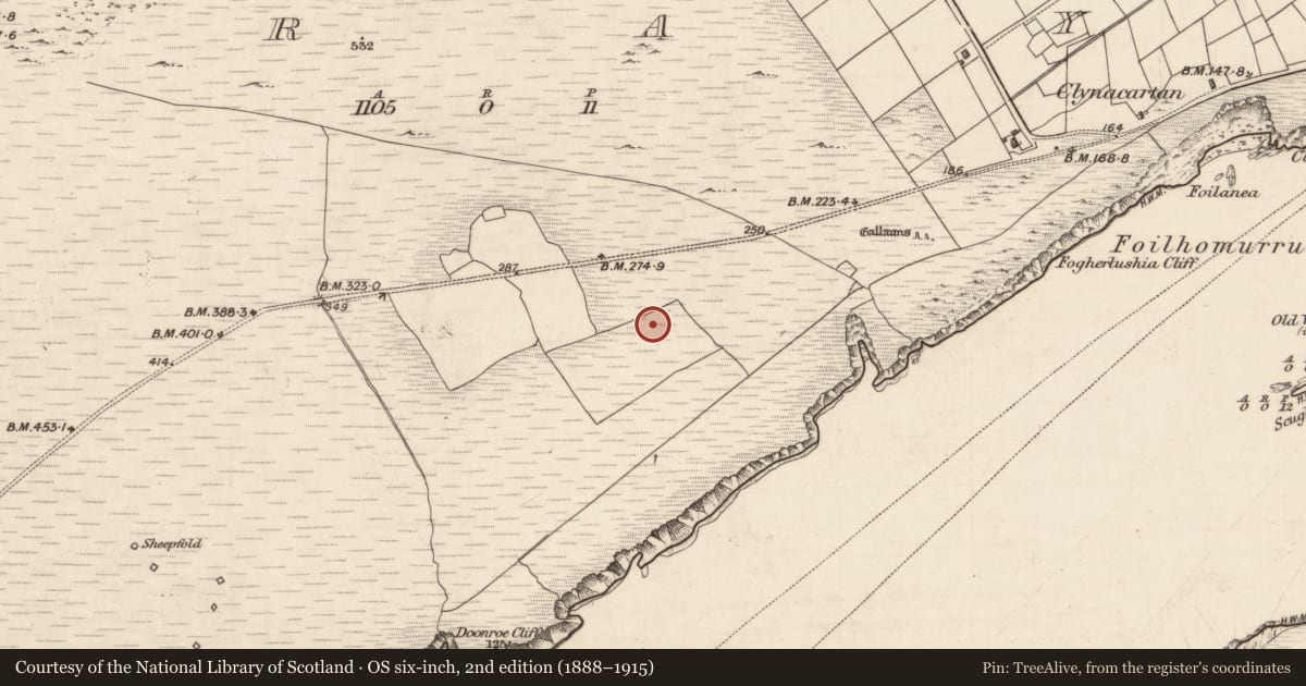 Ordnance Survey six-inch map, 2nd edition (1888–1915) covering the location of Enclosure, Bray, County Kerry, with a pin at the register's coordinates