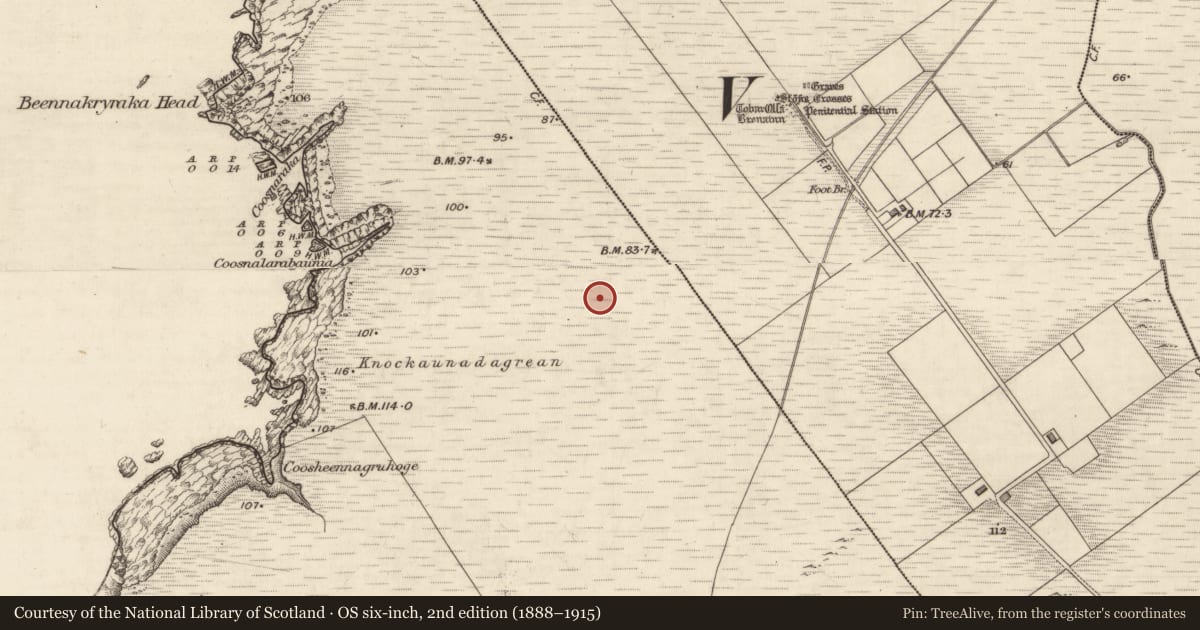 Ordnance Survey six-inch map, 2nd edition (1888–1915) covering the location of Hut site, Bray, County Kerry, with a pin at the register's coordinates