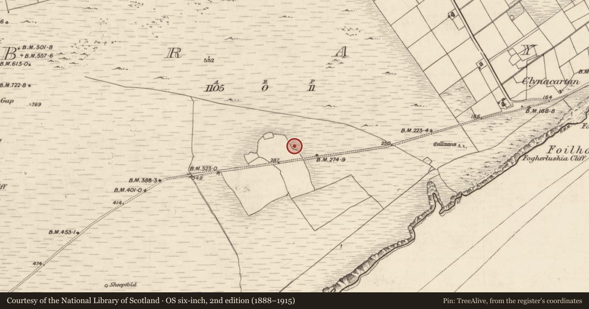 Ordnance Survey six-inch map, 2nd edition (1888–1915) covering the location of Road - road/trackway, Bray, County Kerry, with a pin at the register's coordinates