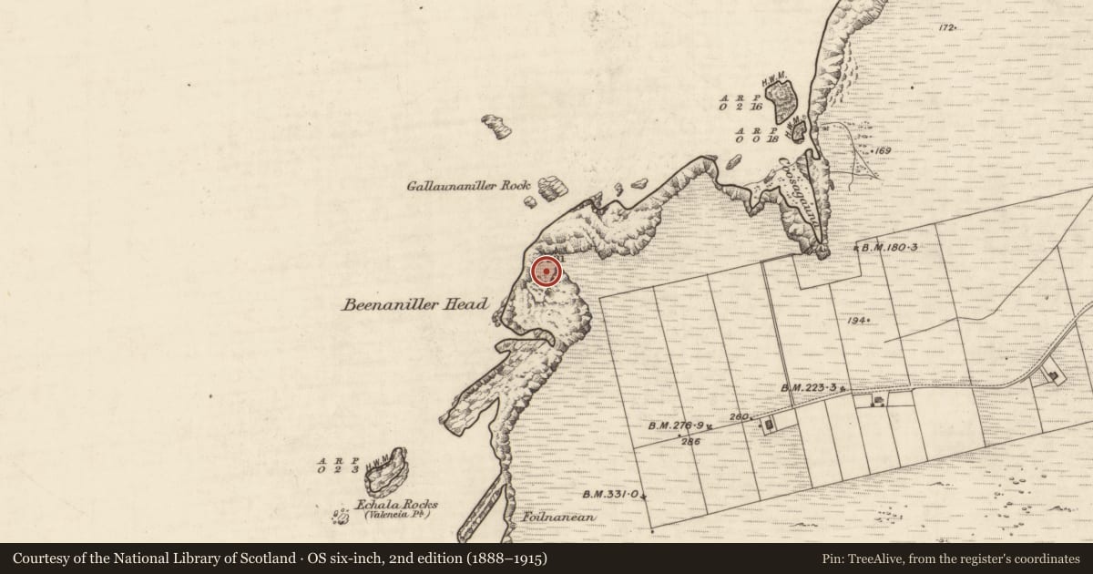 Ordnance Survey six-inch map, 2nd edition (1888–1915) covering the location of Promontory fort - coastal, Bray, County Kerry, with a pin at the register's coordinates
