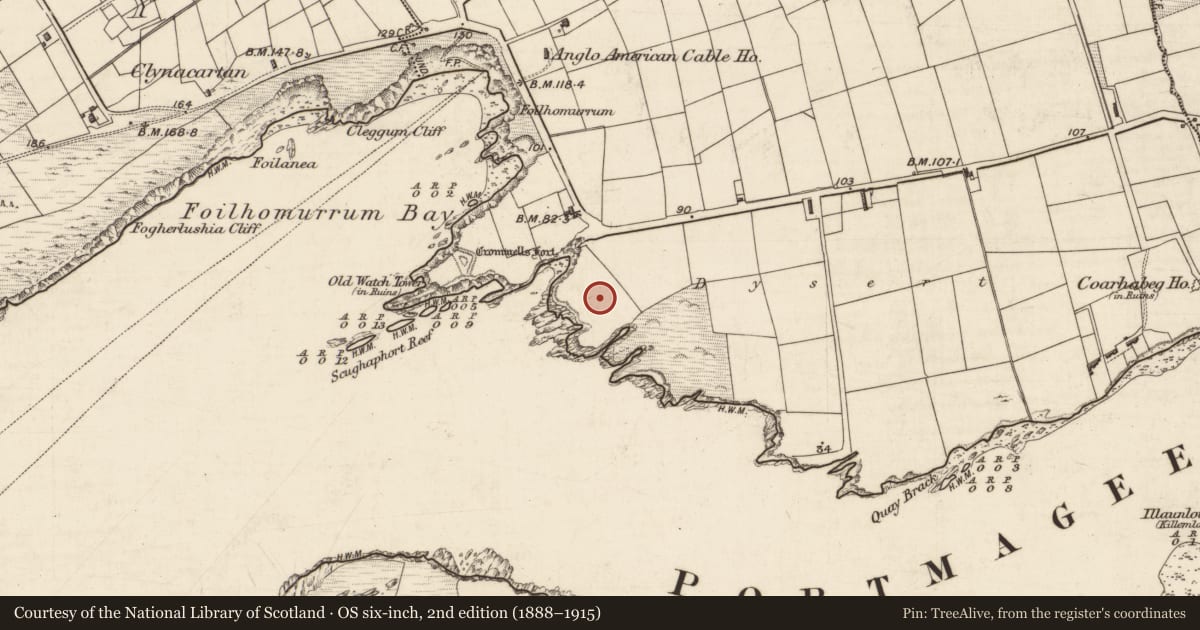 Ordnance Survey six-inch map, 2nd edition (1888–1915) covering the location of Promontory fort - coastal, Coarha Beg, County Kerry, with a pin at the register's coordinates