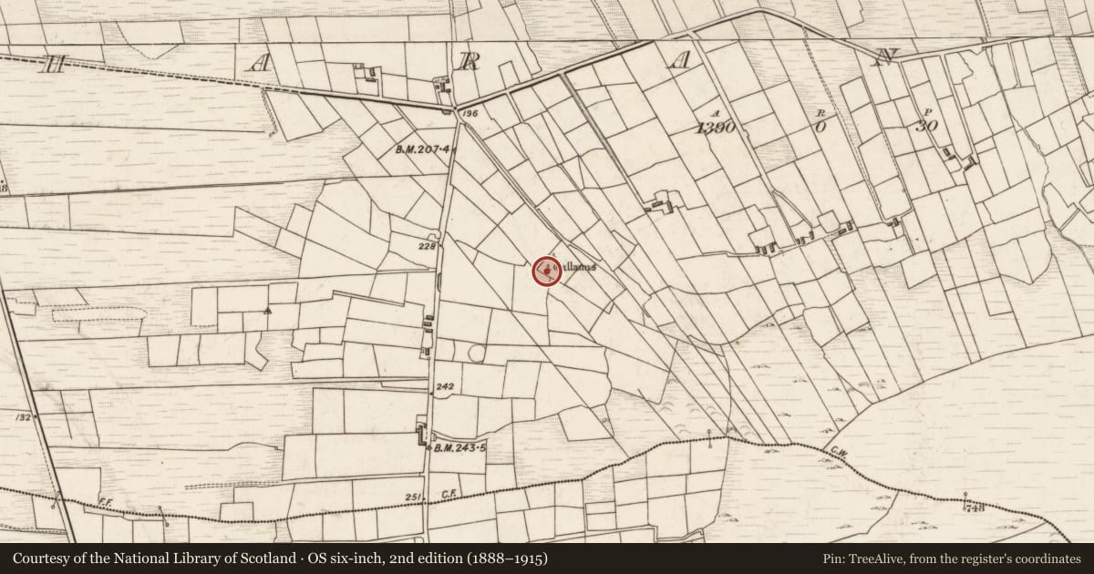 Ordnance Survey six-inch map, 2nd edition (1888–1915) covering the location of Standing stone, Laharan South, County Kerry, with a pin at the register's coordinates