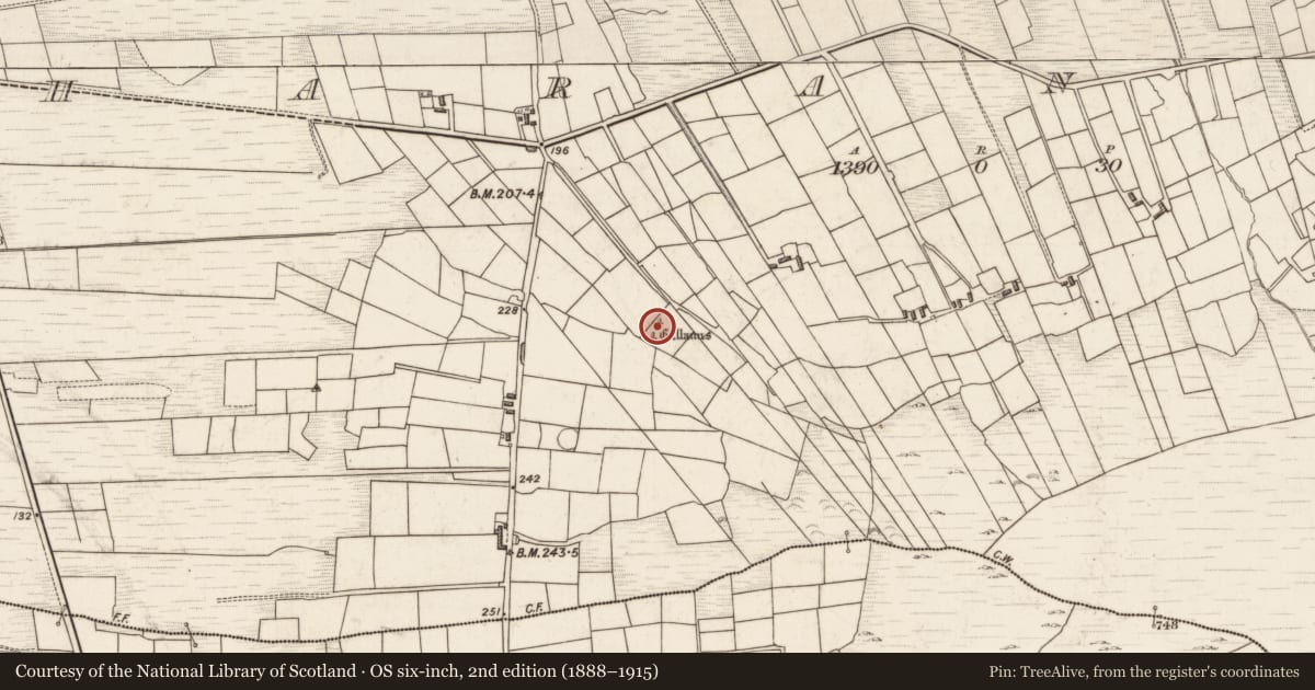 Ordnance Survey six-inch map, 2nd edition (1888–1915) covering the location of Standing stone, Laharan South, County Kerry, with a pin at the register's coordinates