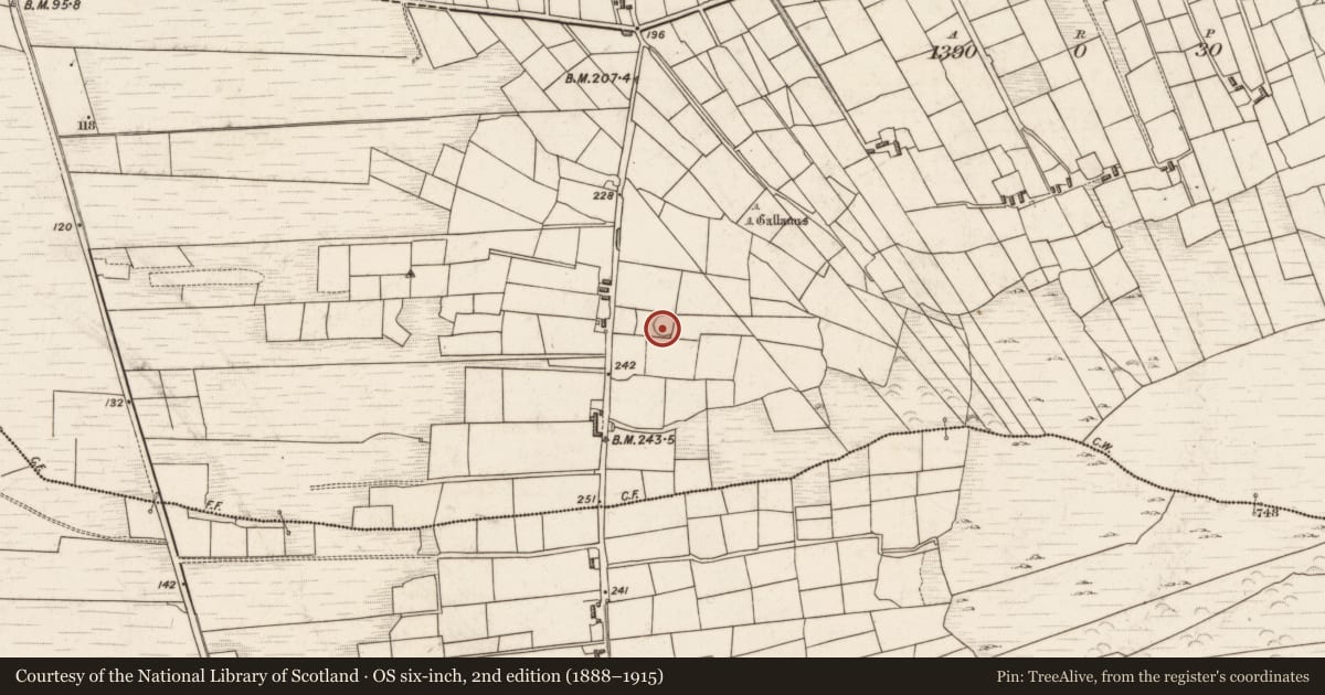 Ordnance Survey six-inch map, 2nd edition (1888–1915) covering the location of Children's burial ground, Laharan South, County Kerry, with a pin at the register's coordinates