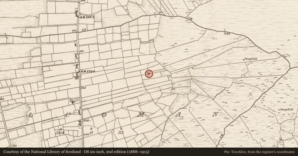 Ordnance Survey six-inch map, 2nd edition (1888–1915) covering the location of Standing stone, Cill Na Gcolmán, County Kerry, with a pin at the register's coordinates