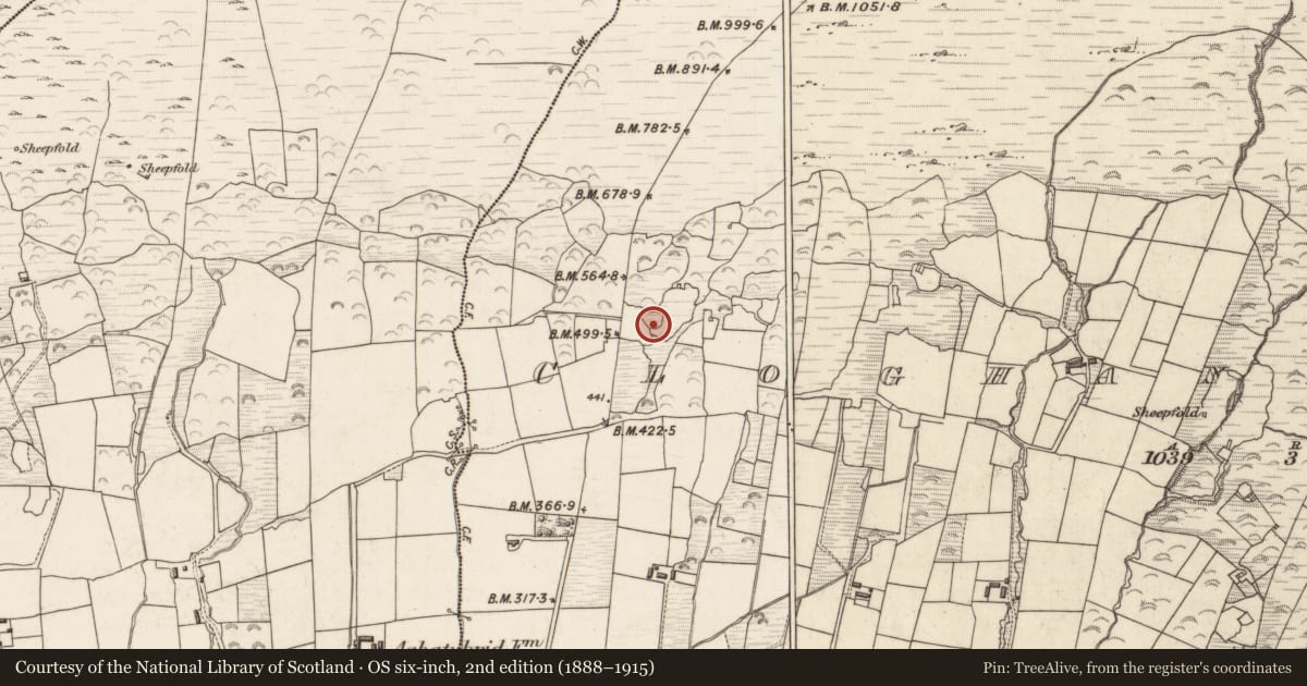 Ordnance Survey six-inch map, 2nd edition (1888–1915) covering the location of Enclosure, Cloghanecarhan, County Kerry, with a pin at the register's coordinates