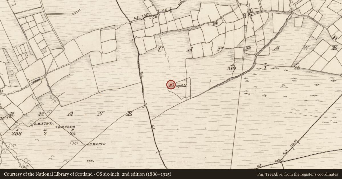 Ordnance Survey six-inch map, 2nd edition (1888–1915) covering the location of Hut site, Cappawee, County Kerry, with a pin at the register's coordinates
