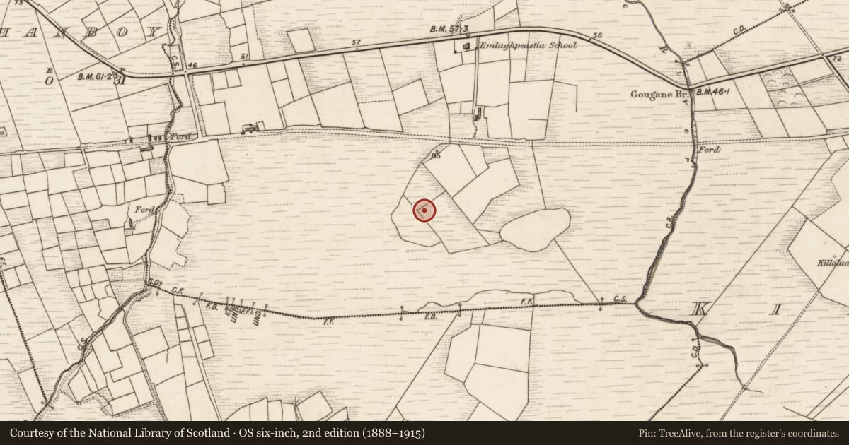 Ordnance Survey six-inch map, 2nd edition (1888–1915) covering the location of Ringfort - rath, Emlaghpeastia, County Kerry, with a pin at the register's coordinates