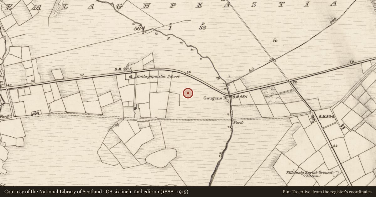 Ordnance Survey six-inch map, 2nd edition (1888–1915) covering the location of Field boundary, Emlaghpeastia, County Kerry, with a pin at the register's coordinates