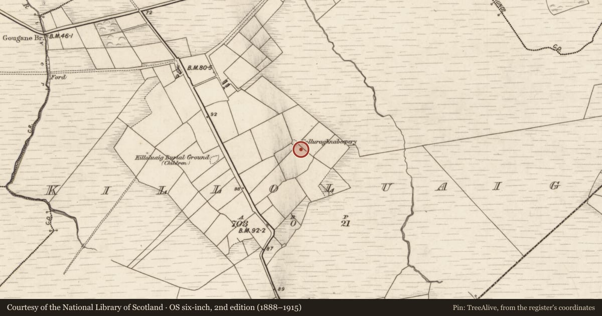 Ordnance Survey six-inch map, 2nd edition (1888–1915) covering the location of Megalithic structure, Killoluaig, County Kerry, with a pin at the register's coordinates