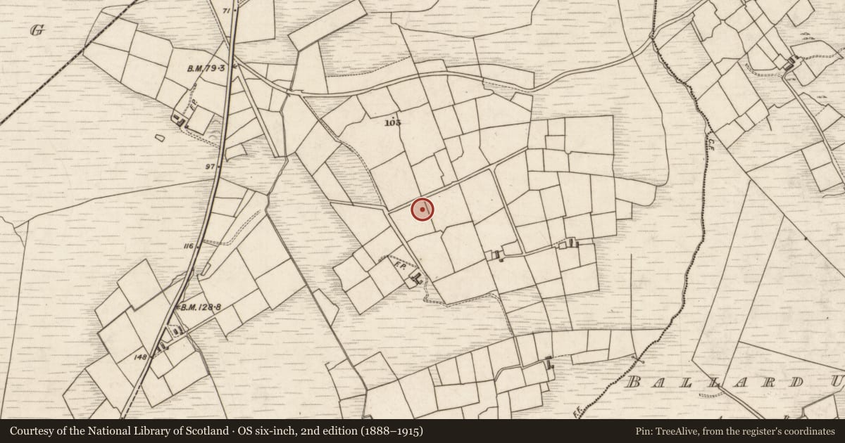 Ordnance Survey six-inch map, 2nd edition (1888–1915) covering the location of Stone row, Formaoil (TC Trian Iarthach), County Kerry, with a pin at the register's coordinates