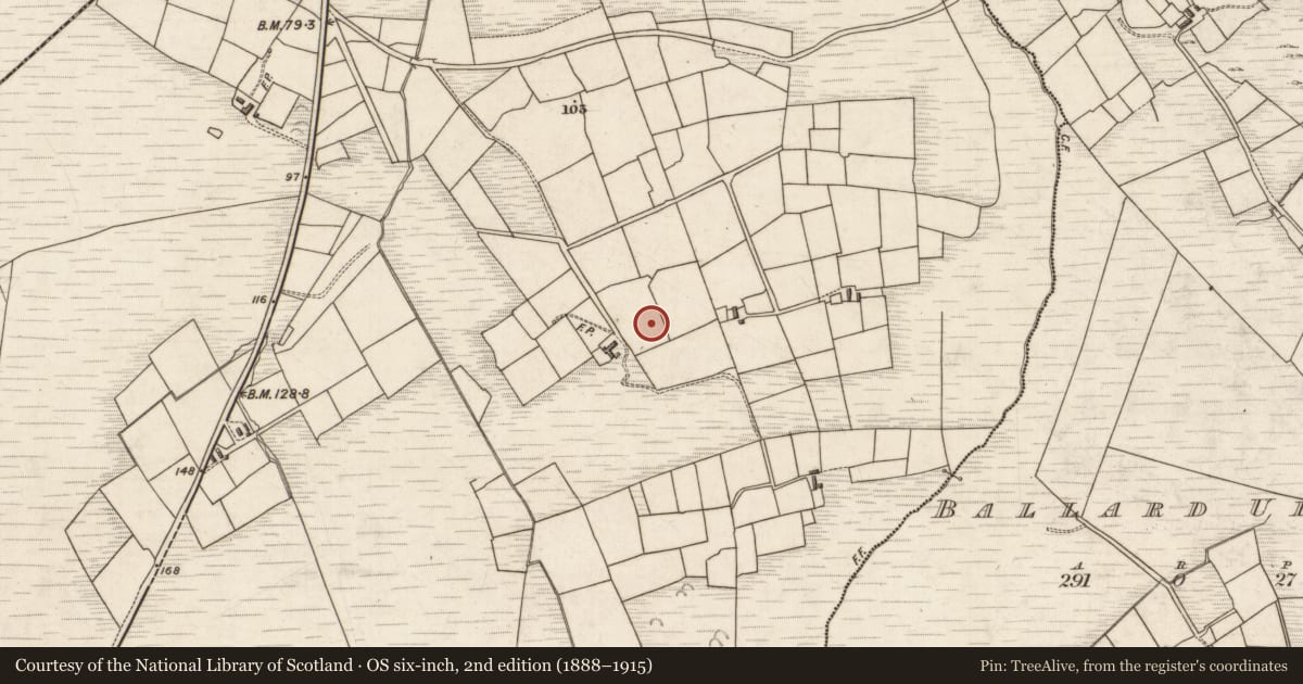 Ordnance Survey six-inch map, 2nd edition (1888–1915) covering the location of Hut site, Formaoil (TC Trian Iarthach), County Kerry, with a pin at the register's coordinates