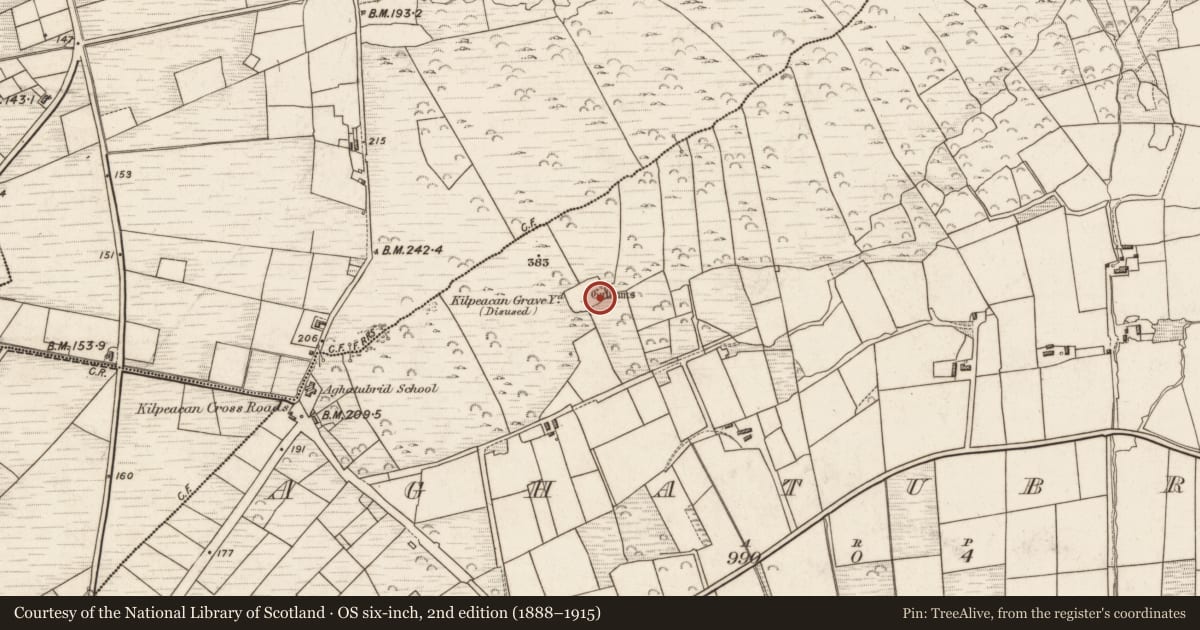 Ordnance Survey six-inch map, 2nd edition (1888–1915) covering the location of House - early medieval, Aghatubrid, County Kerry, with a pin at the register's coordinates