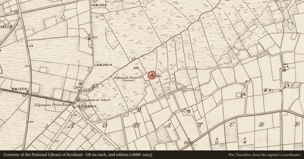 Ordnance Survey six-inch map, 2nd edition (1888–1915) covering the location of Pillar stone, Aghatubrid, County Kerry, with a pin at the register's coordinates
