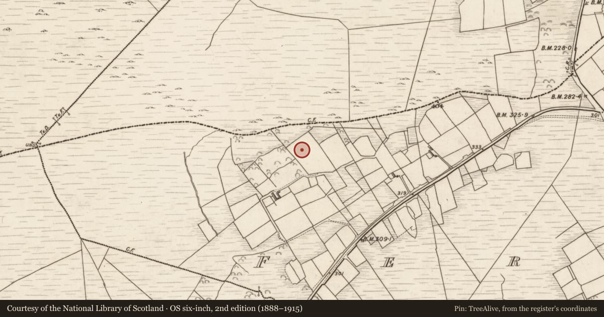 Ordnance Survey six-inch map, 2nd edition (1888–1915) covering the location of Children's burial ground, Formaoil (TC Trian Iarthach), County Kerry, with a pin at the register's coordinates