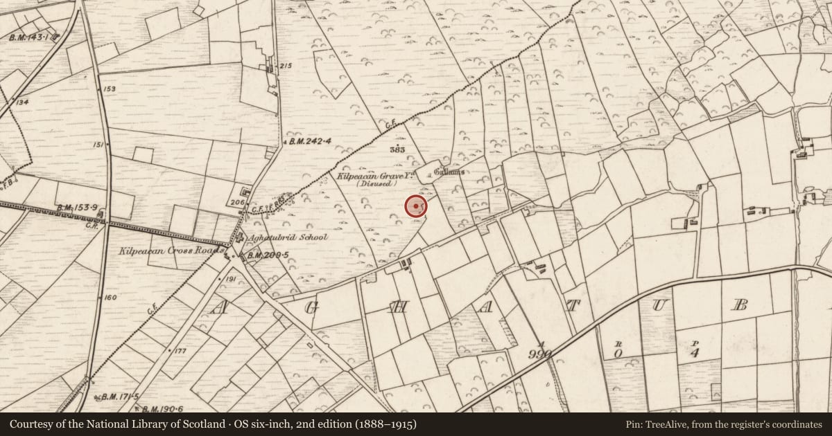 Ordnance Survey six-inch map, 2nd edition (1888–1915) covering the location of Hut site, Aghatubrid, County Kerry, with a pin at the register's coordinates
