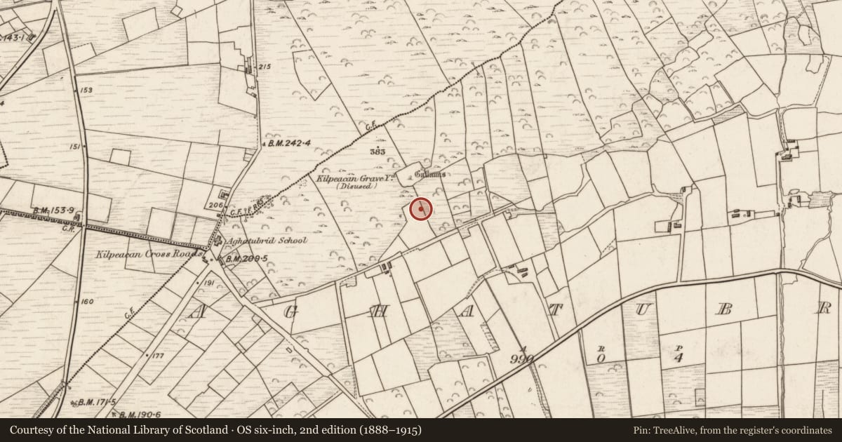 Ordnance Survey six-inch map, 2nd edition (1888–1915) covering the location of Megalithic structure, Aghatubrid, County Kerry, with a pin at the register's coordinates
