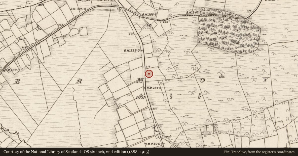 Ordnance Survey six-inch map, 2nd edition (1888–1915) covering the location of Hut site, Formaoil (TC Trian Iarthach), County Kerry, with a pin at the register's coordinates