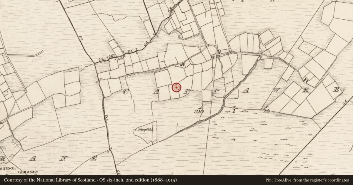 Ordnance Survey six-inch map, 2nd edition (1888–1915) covering the location of Souterrain, Cappawee, County Kerry, with a pin at the register's coordinates