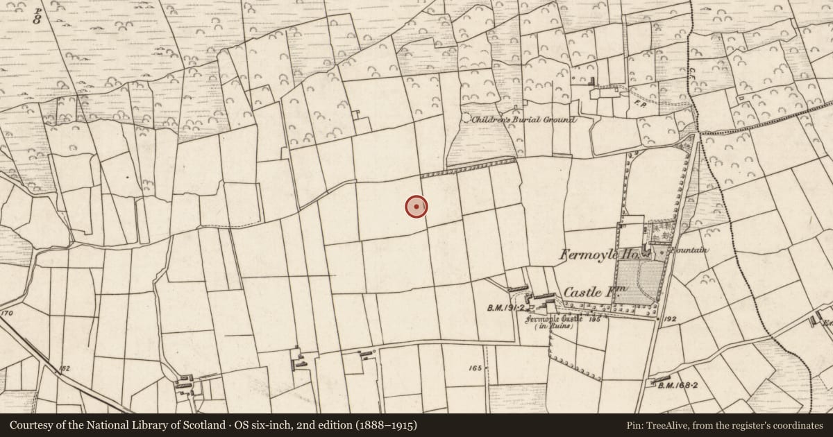 Ordnance Survey six-inch map, 2nd edition (1888–1915) covering the location of Ringfort - rath, Formaoil (TC Trian Iarthach), County Kerry, with a pin at the register's coordinates