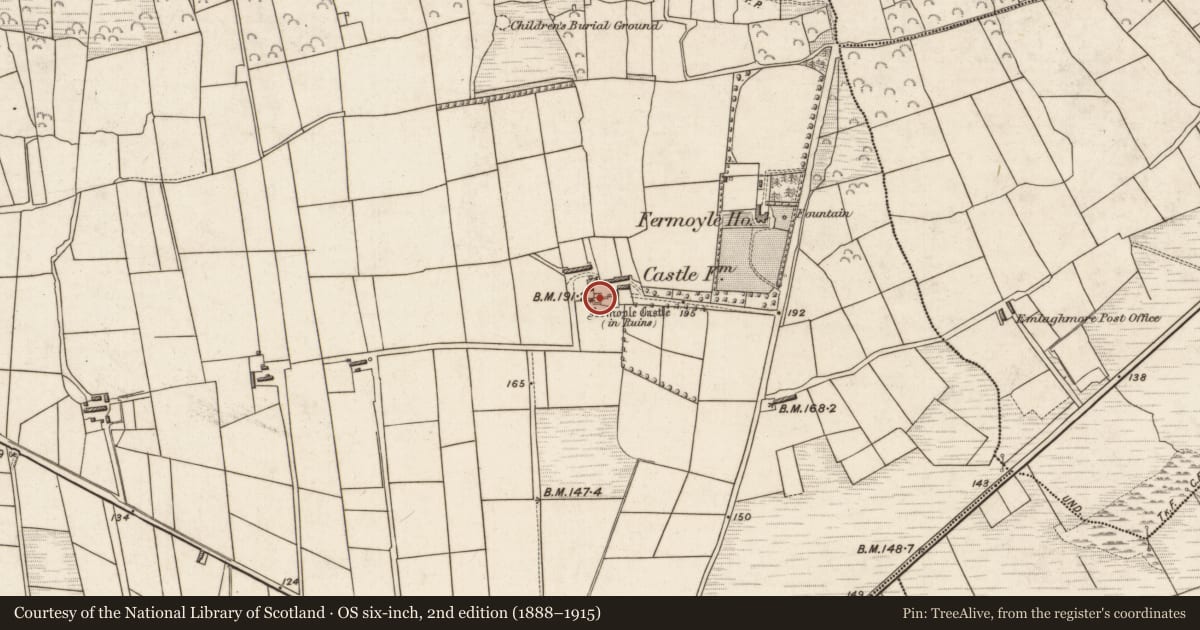 Ordnance Survey six-inch map, 2nd edition (1888–1915) covering the location of Castle - tower house, Formaoil (TC Trian Iarthach), County Kerry, with a pin at the register's coordinates