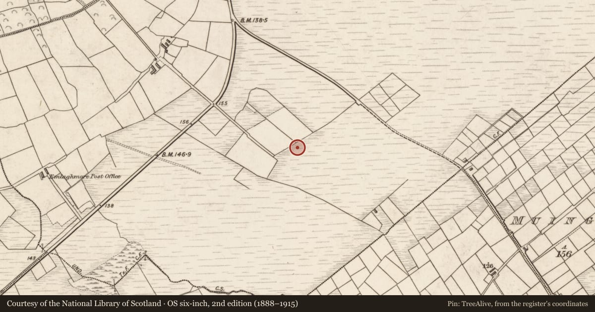 Ordnance Survey six-inch map, 2nd edition (1888–1915) covering the location of Ringfort - rath, Ballard Lower, County Kerry, with a pin at the register's coordinates