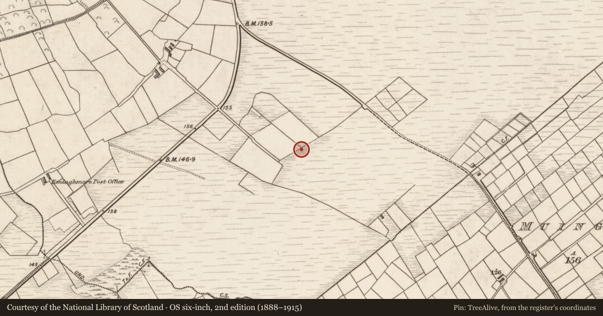 Ordnance Survey six-inch map, 2nd edition (1888–1915) covering the location of Souterrain, Ballard Lower, County Kerry, with a pin at the register's coordinates