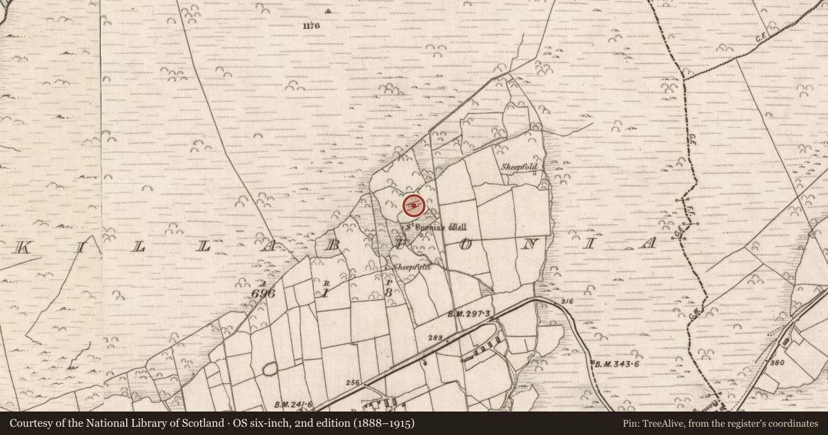 Ordnance Survey six-inch map, 2nd edition (1888–1915) covering the location of Church, Cill Buaine, County Kerry, with a pin at the register's coordinates