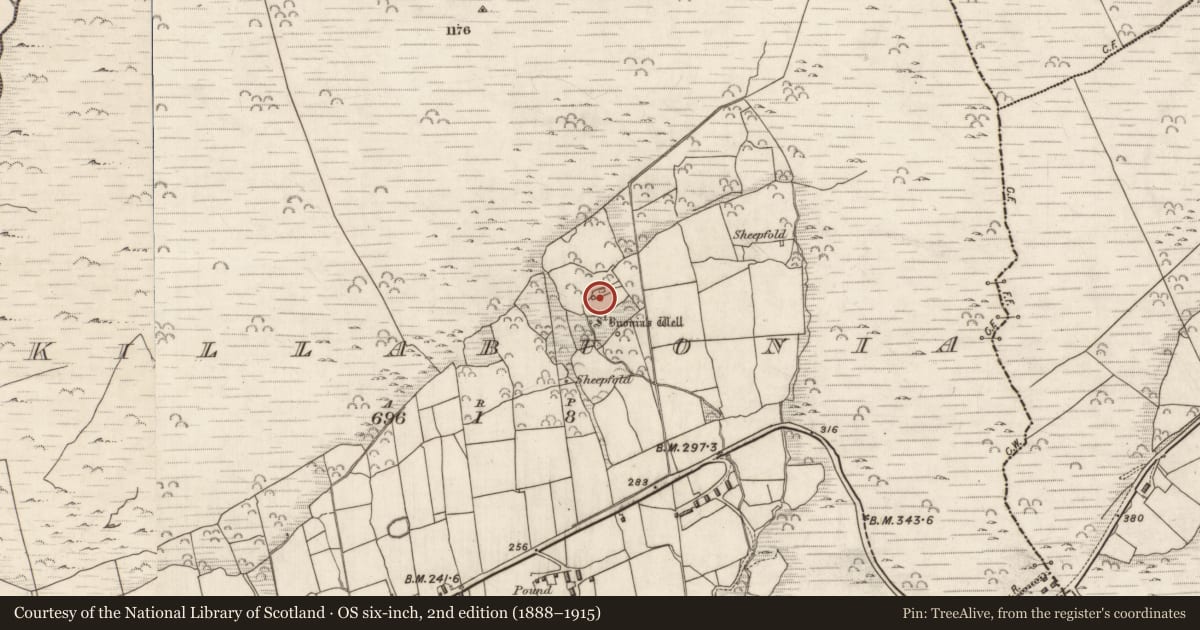 Ordnance Survey six-inch map, 2nd edition (1888–1915) covering the location of Hut site, Cill Buaine, County Kerry, with a pin at the register's coordinates