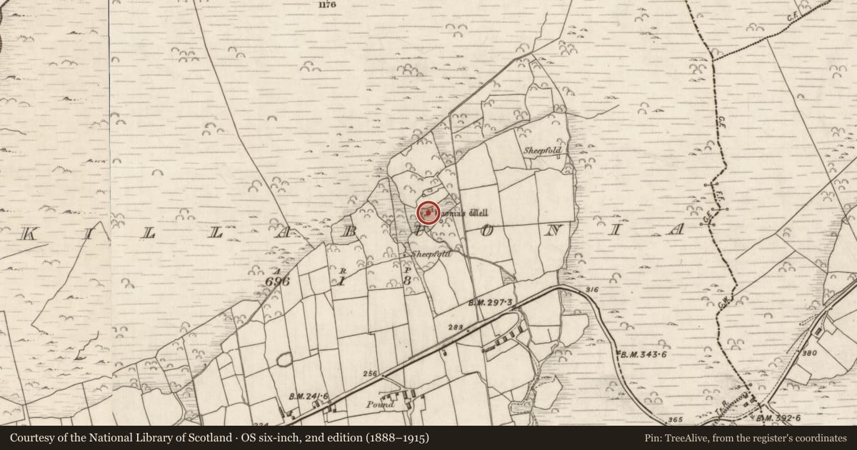 Ordnance Survey six-inch map, 2nd edition (1888–1915) covering the location of Ritual site - holy well, Cill Buaine, County Kerry, with a pin at the register's coordinates