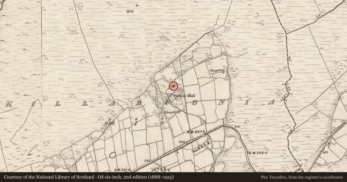 Ordnance Survey six-inch map, 2nd edition (1888–1915) covering the location of Cross-slab, Cill Buaine, County Kerry, with a pin at the register's coordinates