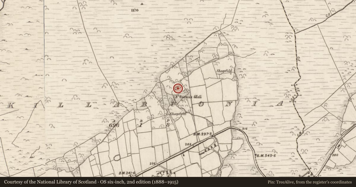 Ordnance Survey six-inch map, 2nd edition (1888–1915) covering the location of Cross, Cill Buaine, County Kerry, with a pin at the register's coordinates