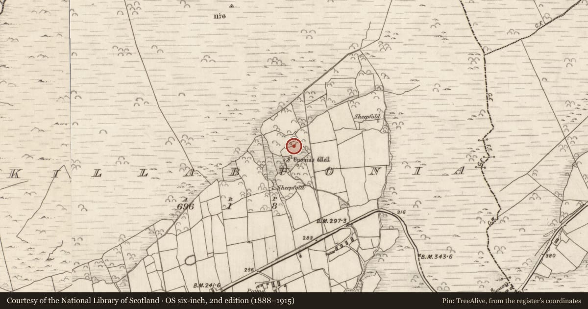 Ordnance Survey six-inch map, 2nd edition (1888–1915) covering the location of Cross-inscribed pillar, Cill Buaine, County Kerry, with a pin at the register's coordinates