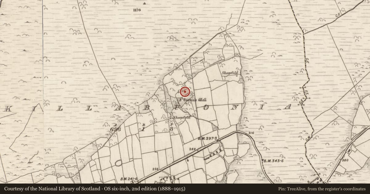 Ordnance Survey six-inch map, 2nd edition (1888–1915) covering the location of Shrine, Cill Buaine, County Kerry, with a pin at the register's coordinates