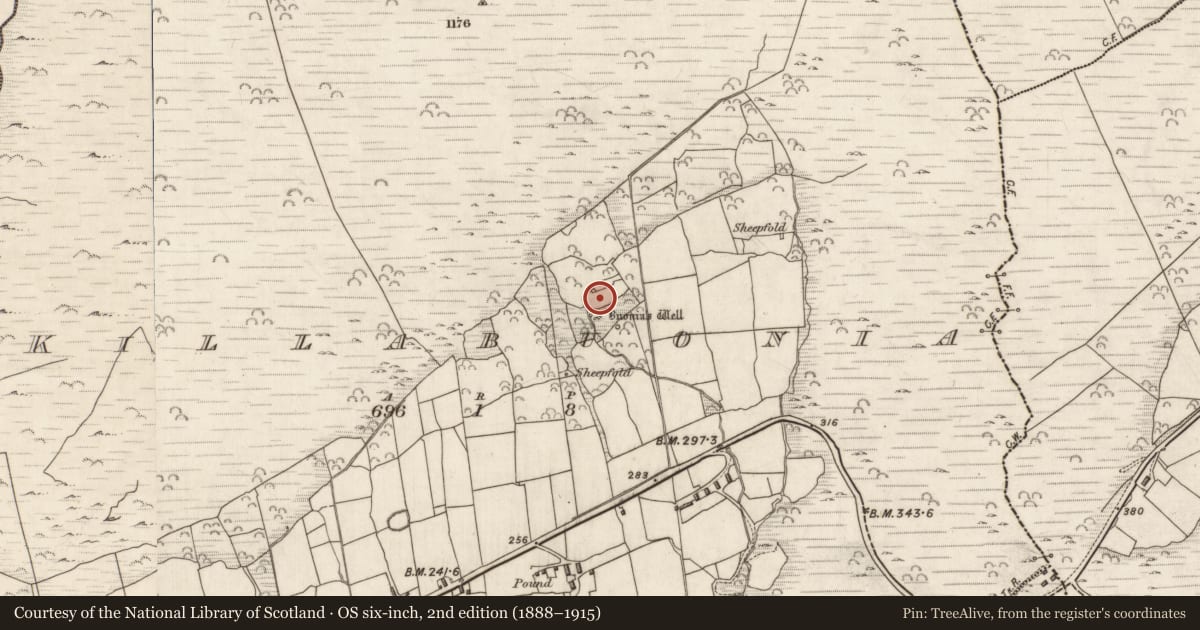 Ordnance Survey six-inch map, 2nd edition (1888–1915) covering the location of Hut site, Cill Buaine, County Kerry, with a pin at the register's coordinates