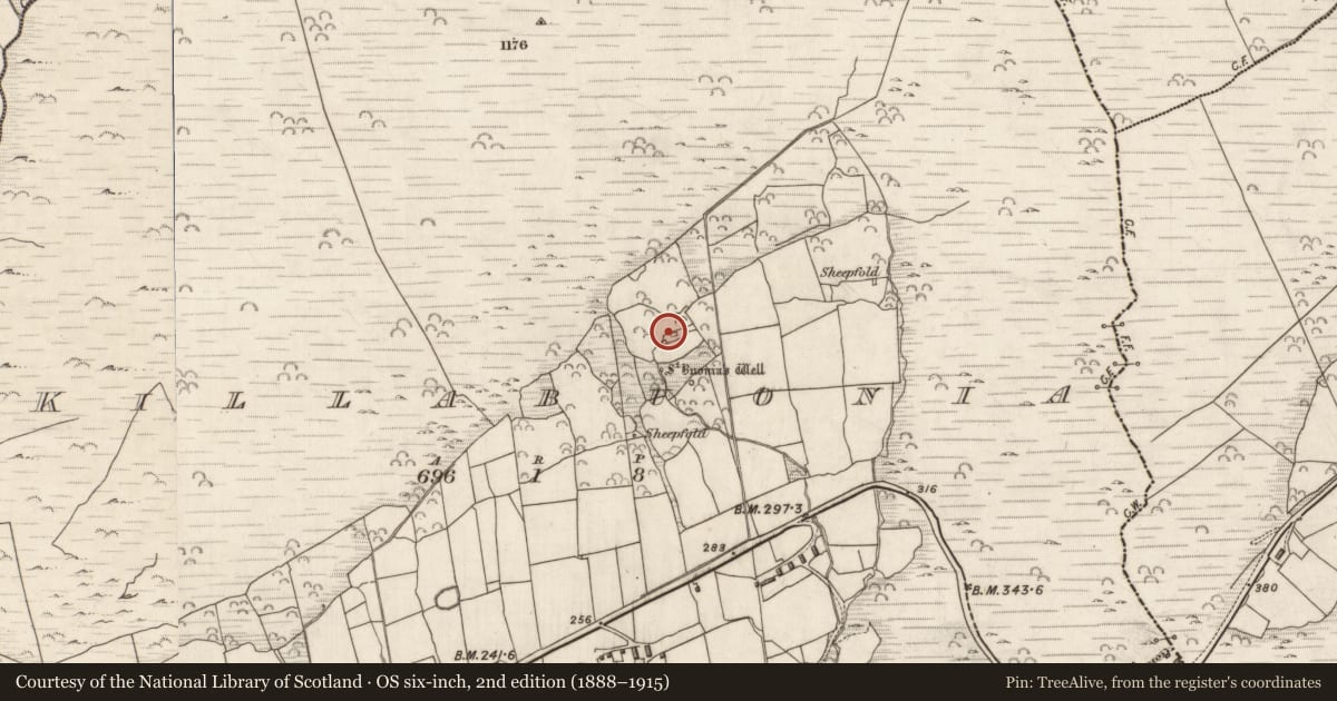 Ordnance Survey six-inch map, 2nd edition (1888–1915) covering the location of Hut site, Cill Buaine, County Kerry, with a pin at the register's coordinates
