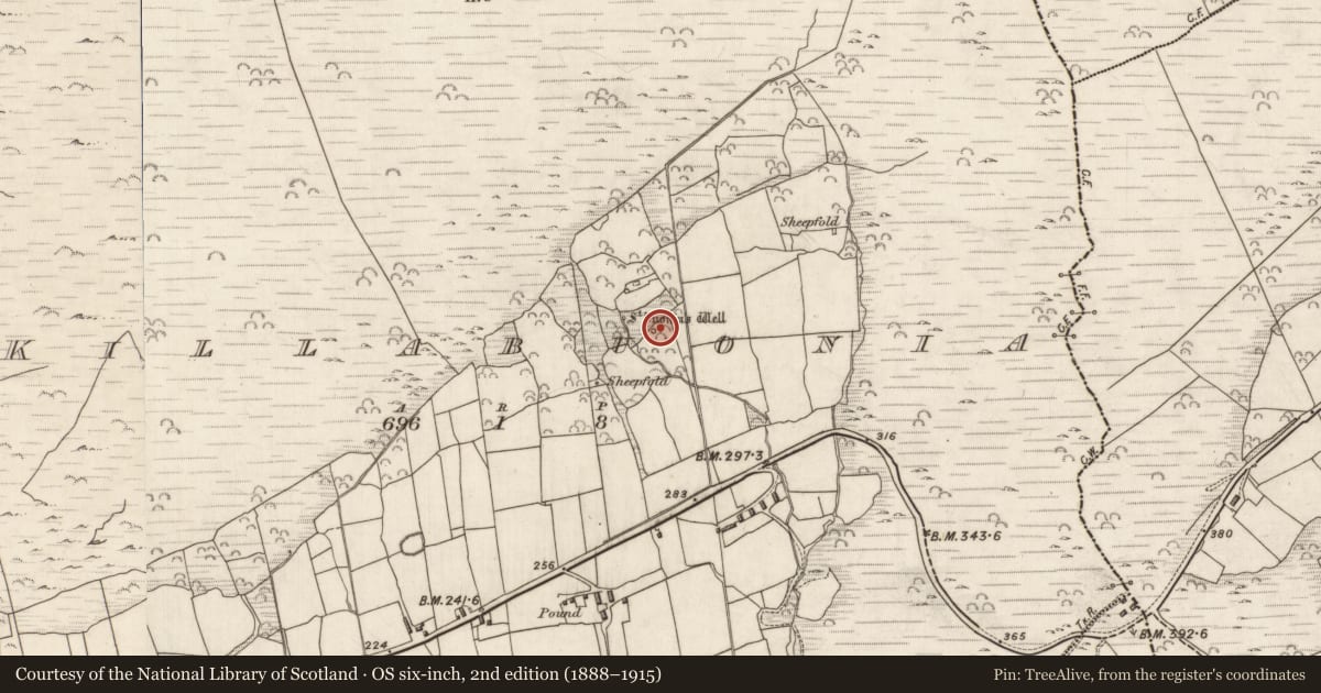 Ordnance Survey six-inch map, 2nd edition (1888–1915) covering the location of Hut site, Cill Buaine, County Kerry, with a pin at the register's coordinates