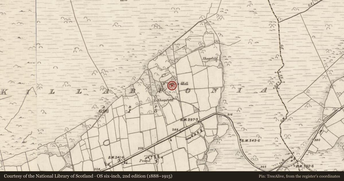 Ordnance Survey six-inch map, 2nd edition (1888–1915) covering the location of Hut site, Cill Buaine, County Kerry, with a pin at the register's coordinates