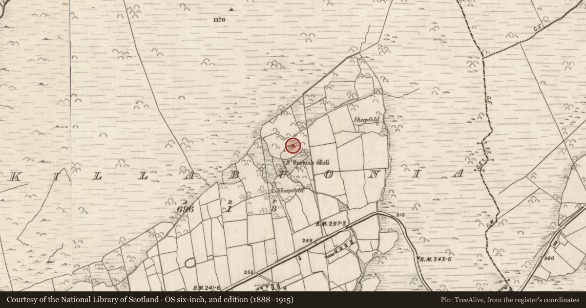 Ordnance Survey six-inch map, 2nd edition (1888–1915) covering the location of Cross-slab, Cill Buaine, County Kerry, with a pin at the register's coordinates