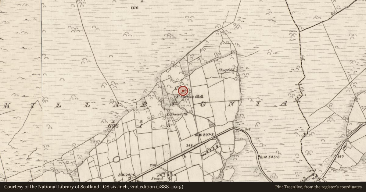 Ordnance Survey six-inch map, 2nd edition (1888–1915) covering the location of Steps, Cill Buaine, County Kerry, with a pin at the register's coordinates