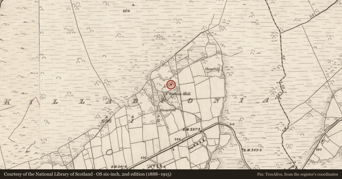 Ordnance Survey six-inch map, 2nd edition (1888–1915) covering the location of Terrace, Cill Buaine, County Kerry, with a pin at the register's coordinates