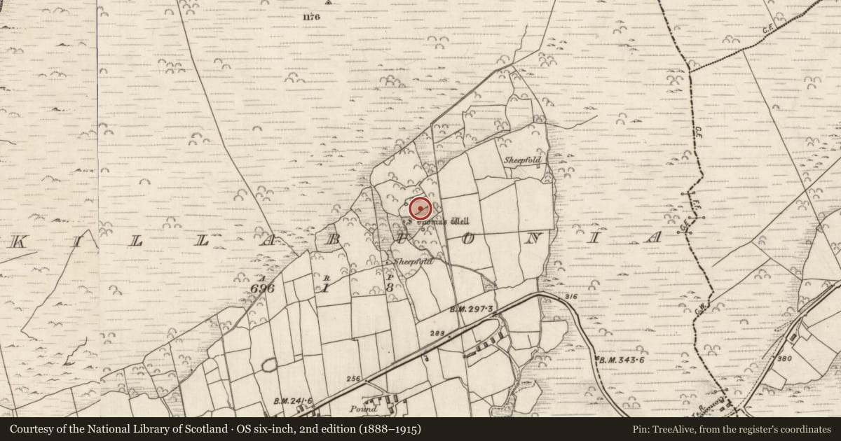 Ordnance Survey six-inch map, 2nd edition (1888–1915) covering the location of Terrace, Cill Buaine, County Kerry, with a pin at the register's coordinates
