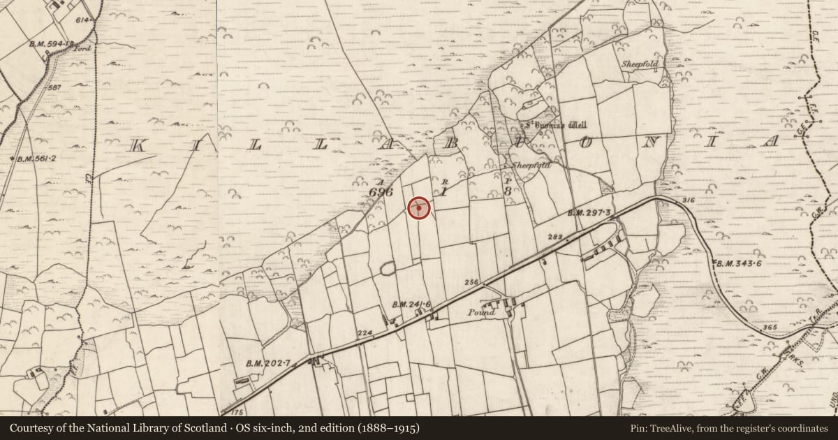 Ordnance Survey six-inch map, 2nd edition (1888–1915) covering the location of Hut site, Cill Buaine, County Kerry, with a pin at the register's coordinates