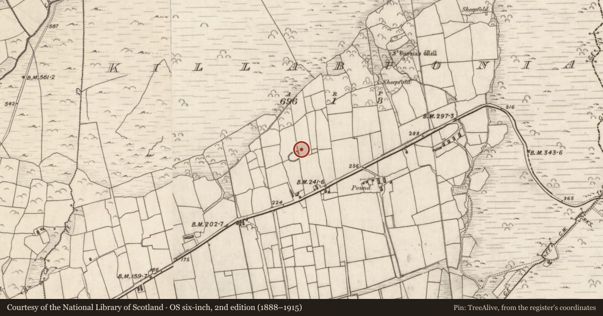 Ordnance Survey six-inch map, 2nd edition (1888–1915) covering the location of Church, Cill Buaine, County Kerry, with a pin at the register's coordinates