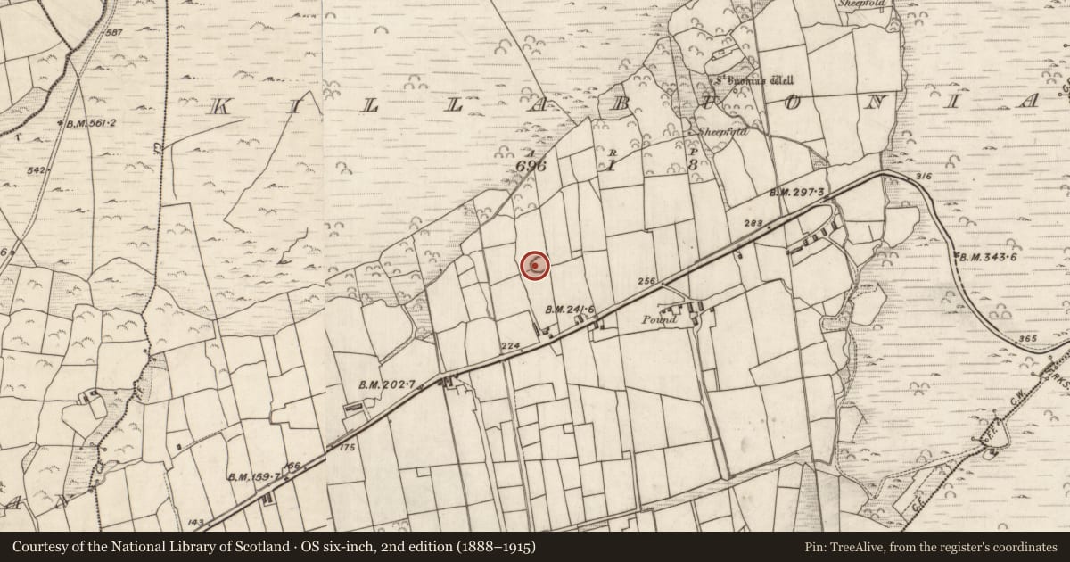 Ordnance Survey six-inch map, 2nd edition (1888–1915) covering the location of Cross, Cill Buaine, County Kerry, with a pin at the register's coordinates