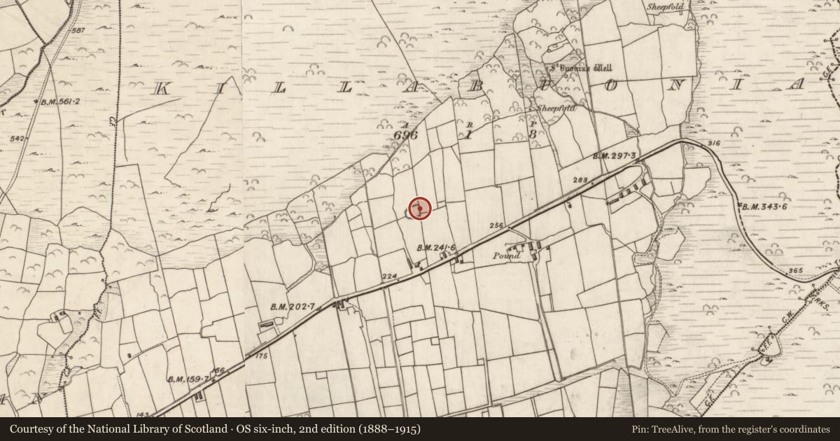 Ordnance Survey six-inch map, 2nd edition (1888–1915) covering the location of Building, Cill Buaine, County Kerry, with a pin at the register's coordinates