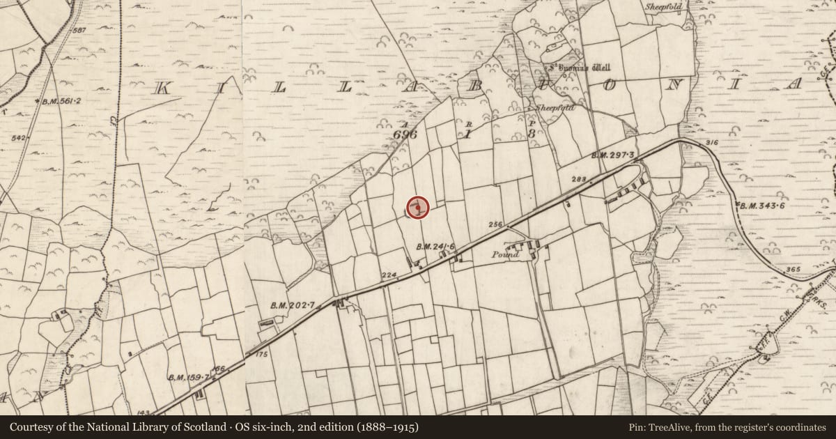 Ordnance Survey six-inch map, 2nd edition (1888–1915) covering the location of Ecclesiastical enclosure, Cill Buaine, County Kerry, with a pin at the register's coordinates