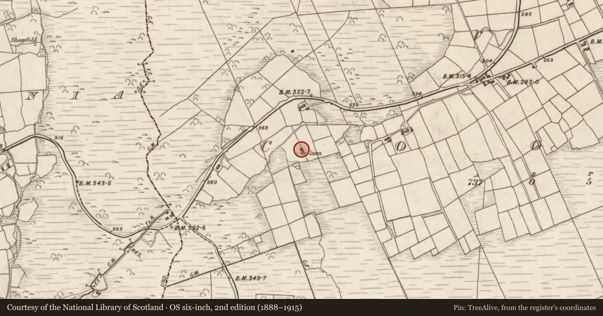 Ordnance Survey six-inch map, 2nd edition (1888–1915) covering the location of Standing stone, Na Cúla (Bar. Uíbh Ráthach), County Kerry, with a pin at the register's coordinates