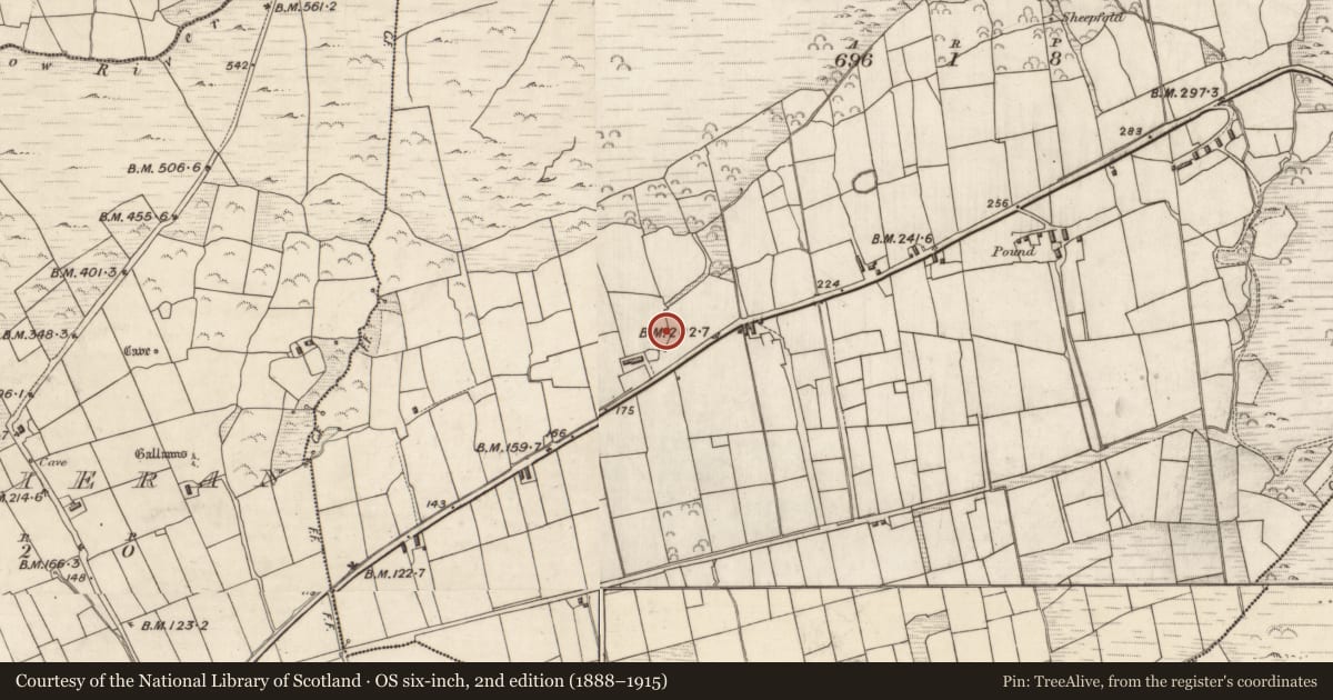 Ordnance Survey six-inch map, 2nd edition (1888–1915) covering the location of Hut site, Cill Buaine, County Kerry, with a pin at the register's coordinates